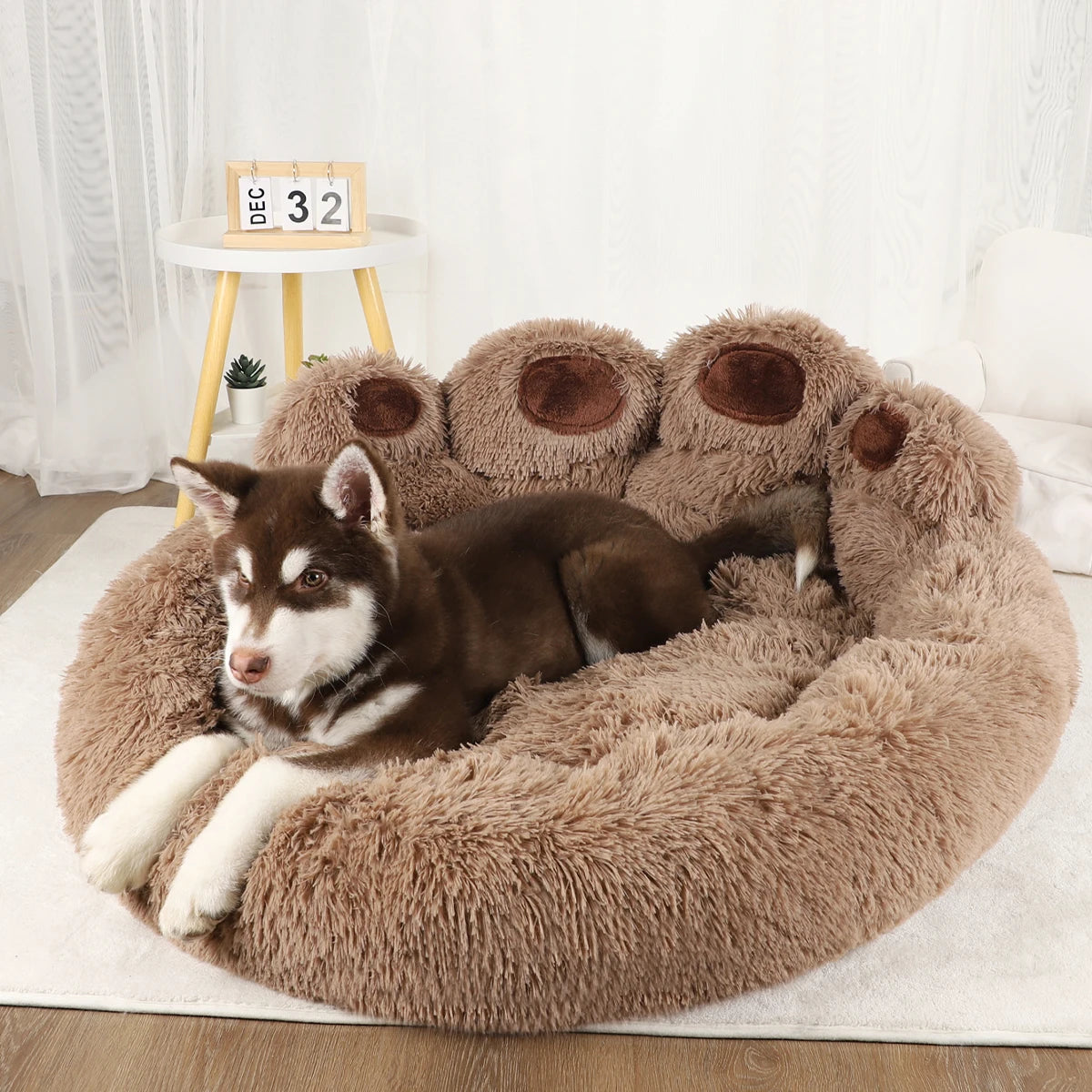 Calming Paw Bed