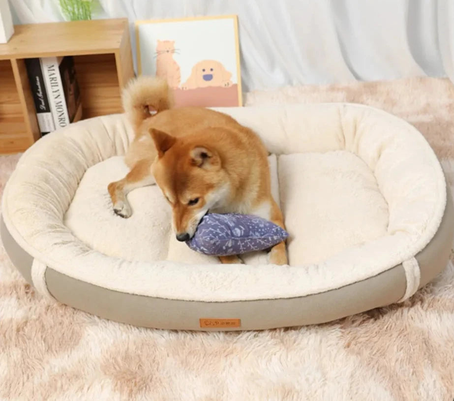 Ergonomic Dog Bed