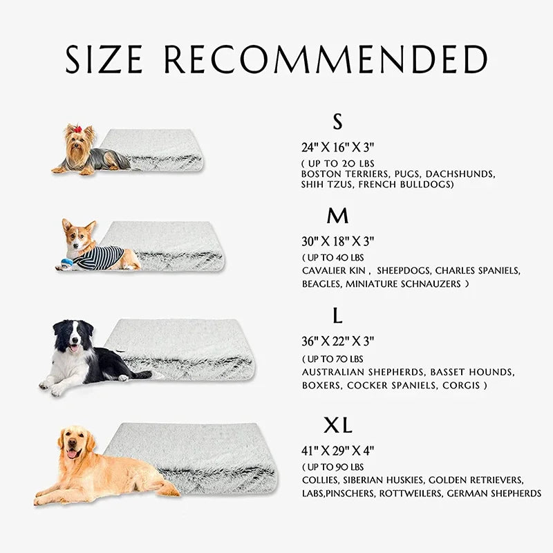 Orthopedic Calming Dog Bed