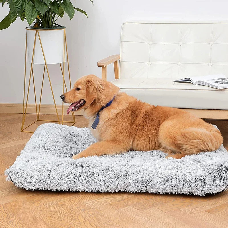 Orthopedic Calming Dog Bed