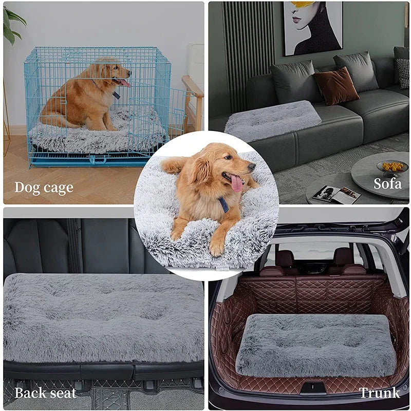 Orthopedic Calming Dog Bed