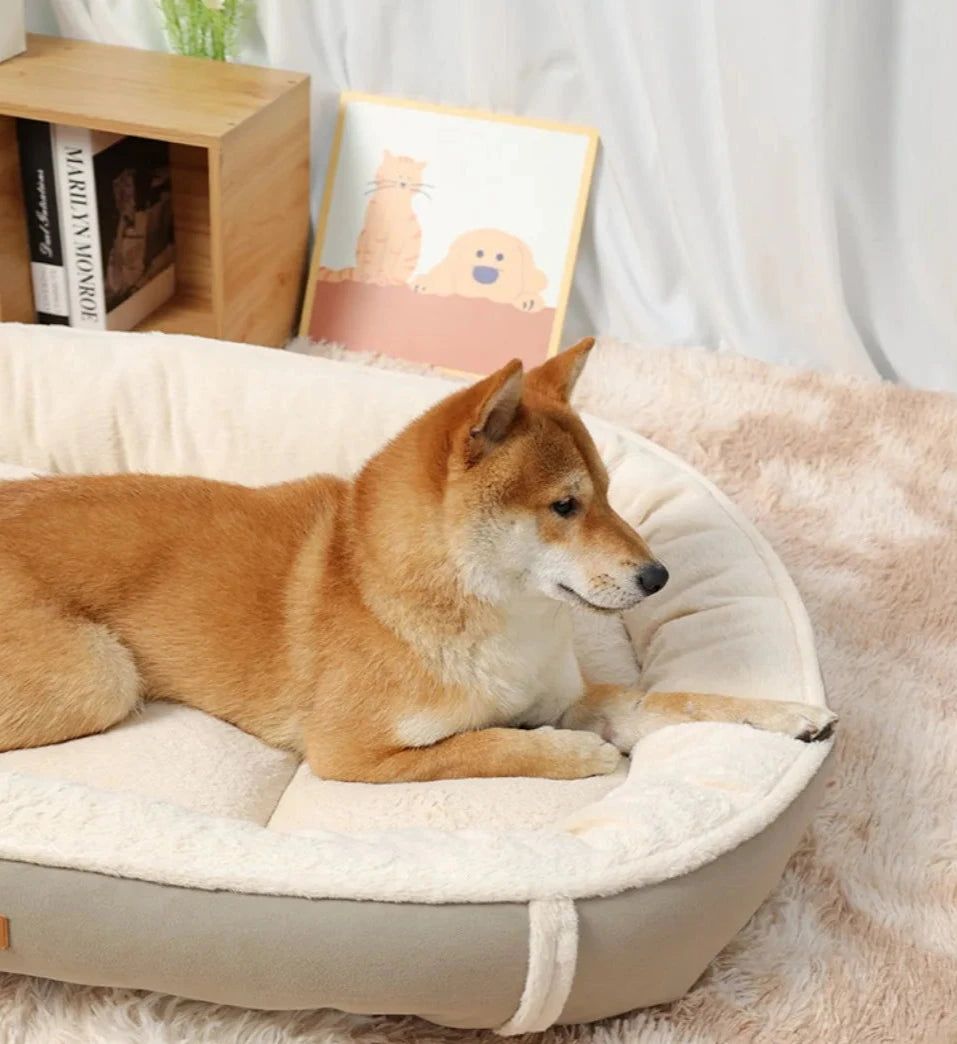 Ergonomic Dog Bed