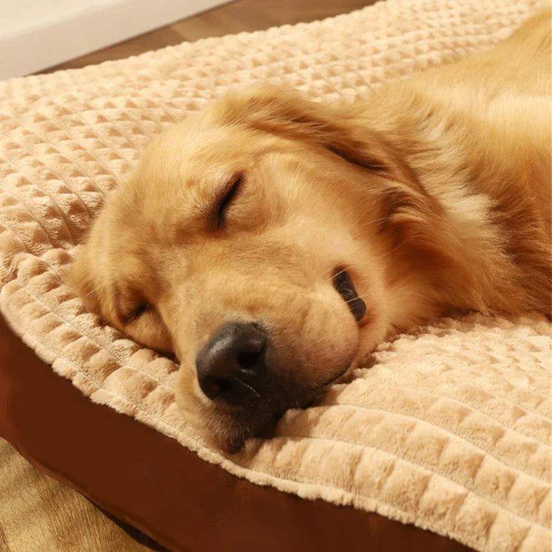 Calming Warm Dog Bed